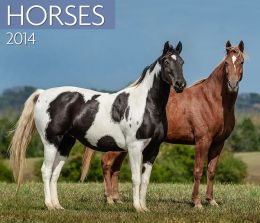 2014 Horses Wall Calendar