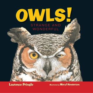 Owls! Strange and Wonderful