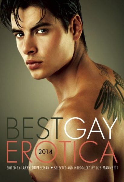 Best Gay Erotica 2014
