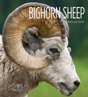 Bighorn Sheep: Living Wild