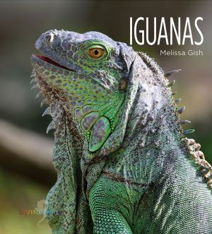 Iguanas: Living Wild