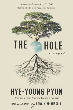 Book The Hole: A Novel