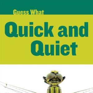 Quick and Quiet: Dragonfly