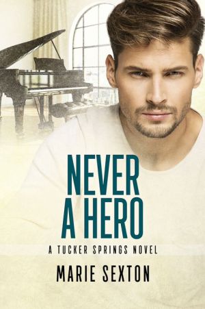 Book Never a Hero