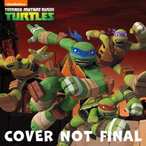 Teenage Mutant Ninja Turtle Leveled Reader Bind-up (Teenage Mutant Ninja Turtles)