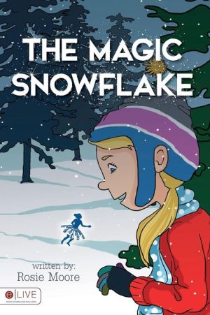 The Magic Snowflake