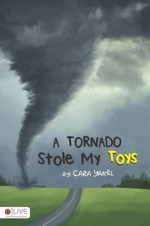 A Tornado Stole My Toys