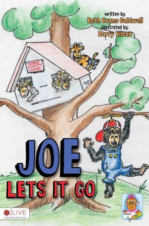 Joe Lets It Go
