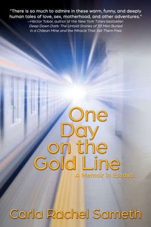 One Day on the Gold Line: A Memoir in Essays