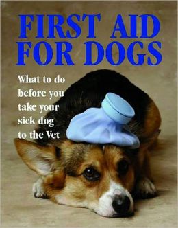 First Aid for Dogs: What to do Before You Take your Dog to the Vet