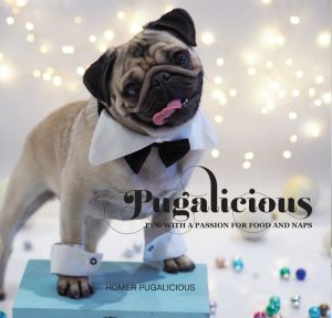 Pugalicious: Pug With A Passion For Food And Naps