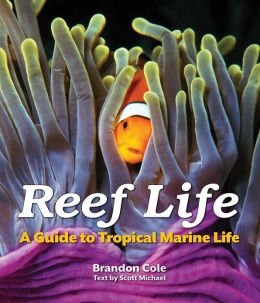 Reef Life: A Guide to Tropical Marine Life Brandon Cole and Scott Michael