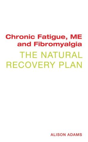 Chronic Fatigue, ME and Fibromyalgia: The Natural Recovery Plan