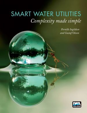 Smart Water Utilities: Complexity Made Simple