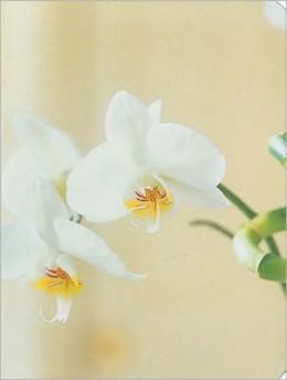 Orchid Mini Notebook