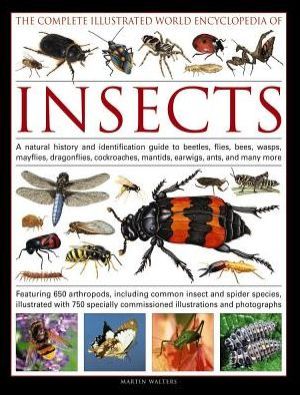 The Complete Illustrated World Encyclopedia of Insects: A Natural History And Identification Guide To Beetles, Flies, Bees, Wasps, Mayflies, Dragonflies, Cockroaches, Mantids, Earwigs, Ants, And Many More