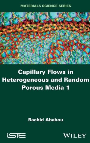 Capillary Flows in Heterogeneous and Stochastic Porous Media