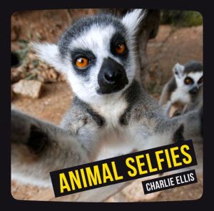 Animal Selfies