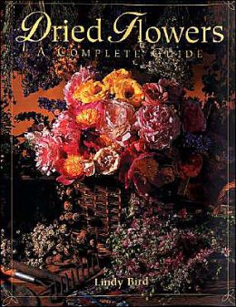 Dried Flowers: A Complete Guide Lindy Bird