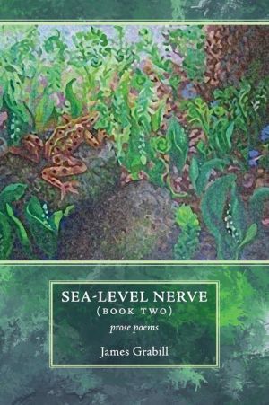 Sea-Level Nerve: Book Two
