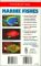 Marine Fishes: 500+ Essential-to-Know Aquarium Species (Pocketexpert Guide Series)