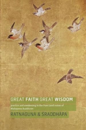 Great Faith, Great Wisdom: Practice and Awakening in the Pure Land Sutras of Mahayana Buddhism