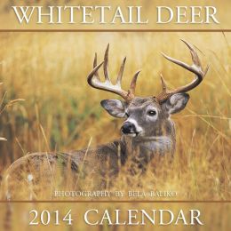 2014 Whitetail Deer Wall Calendar