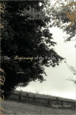 Beginning of the Fields