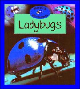 Ladybugs