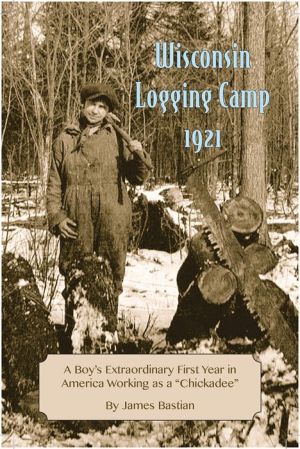 Wisconsin Logging Camp, 1921: A Boy's Extraordinary First Year in America