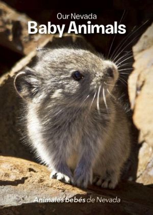 Our Nevada: Baby Animals