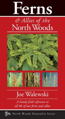 Ferns of the North Woods: Including Horsetails & Clubmosses