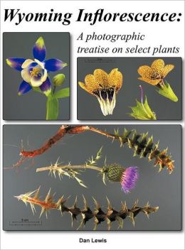 Wyoming Inflorescence
