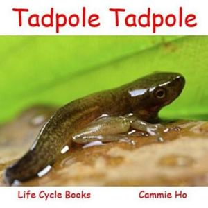 Tadpole Tadpole