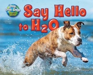 Say Hello to H2O