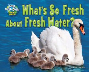 What's So Fresh about Fresh Water?