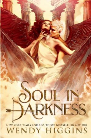 Book Soul in Darkness