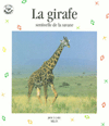 Girafe Sentinelle de la Savane