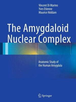 The Amygdaloid Nuclear Complex: Anatomic Study of the Human Amygdala