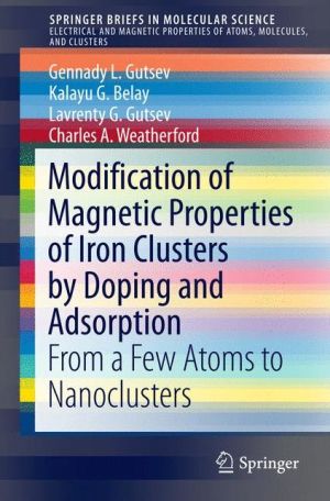 The Modification of Magnetic Properties of Iron Clusters by Doping and Adsorption: From a Few Atoms to Nanoclusters