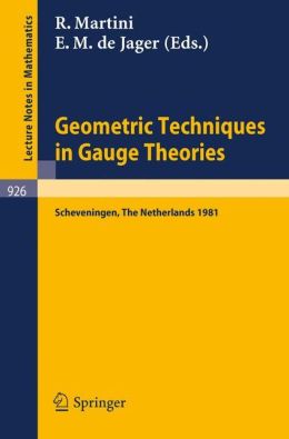 Geometric Techniques in Gauge Theories