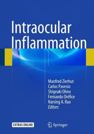 Intraocular Inflammation / Edition 1