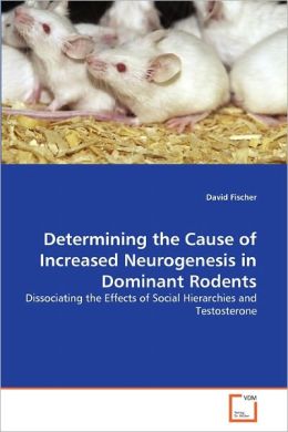Determining The Cause Of Increased Neurogenesis In Dominant Rodents