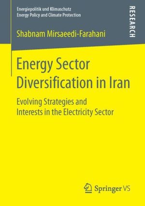 Energy Sector Diversification in Iran: Evolving Strategies and Interests in the Electricity Sector