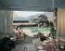 Julius Shulman, Modernism Rediscovered