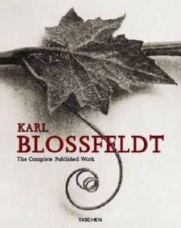 Blossfeldt