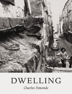 Charles Simonds: Dwelling