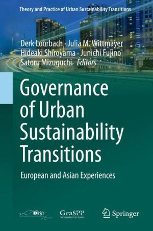 Governance of Urban Sustainability Transitions: European and Asian Experiences