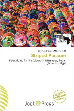 Striped Possum