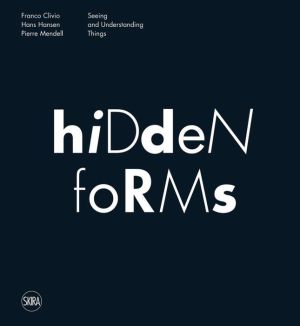 Hidden Forms: Seeing and Understanding Things